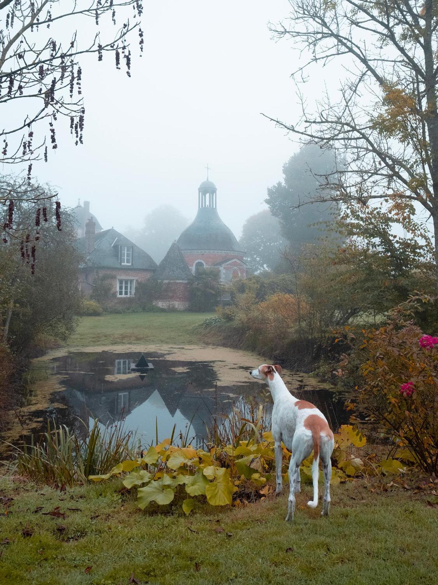 Le Chateau De Bonnemare - Bed And Breakfast Radepont ภายนอก รูปภาพ